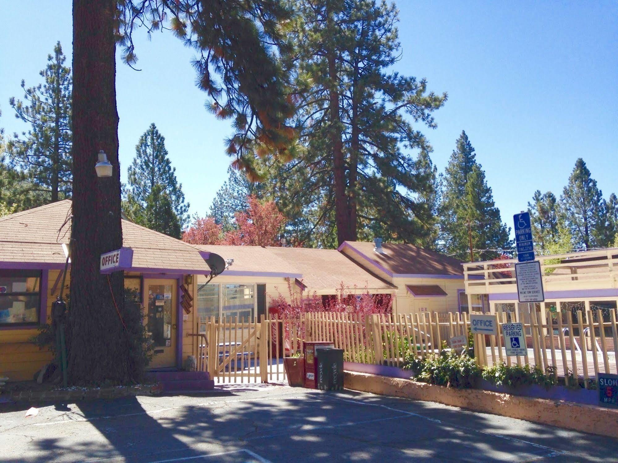 קינגס ביץ' Stevenson'S Inn מראה חיצוני תמונה